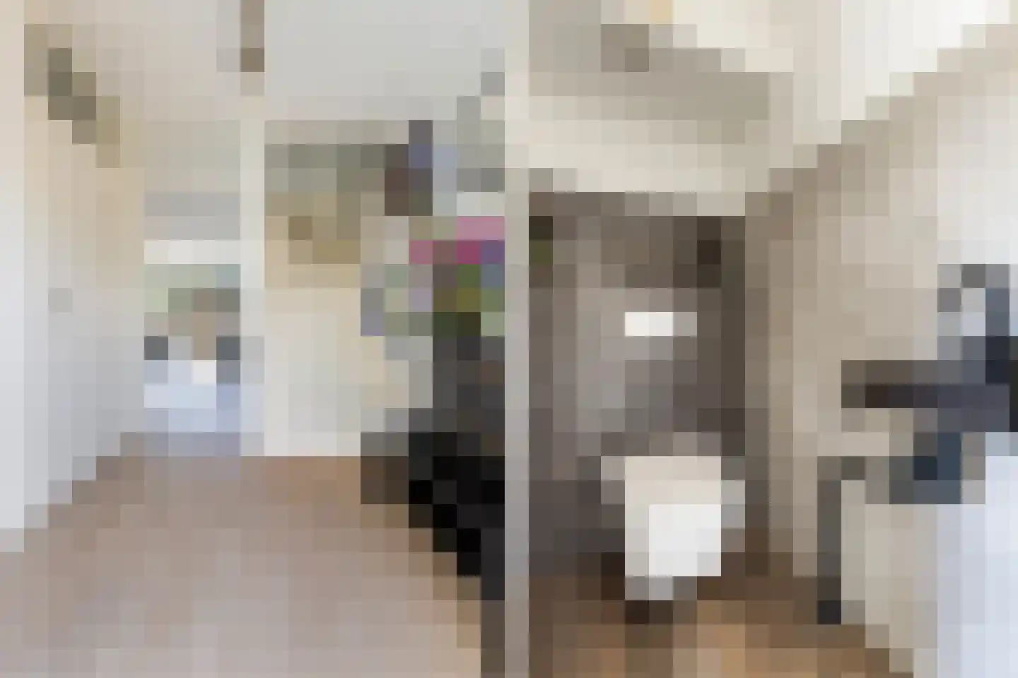 Madeliefweide 58 Woerden thumbnail 8