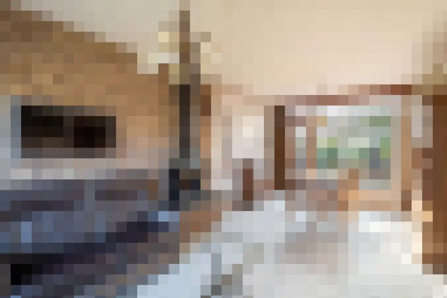 Madelieven 2 Wateringen thumbnail 11