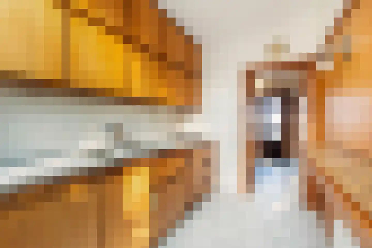 Madelieven 2 Wateringen thumbnail 13