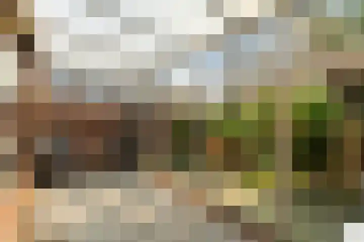 Madelieven 2 Wateringen thumbnail 14
