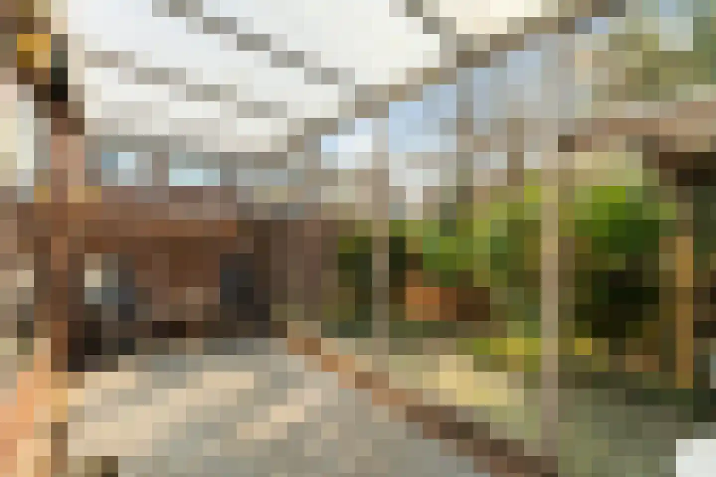 Madelieven 2 Wateringen thumbnail 14