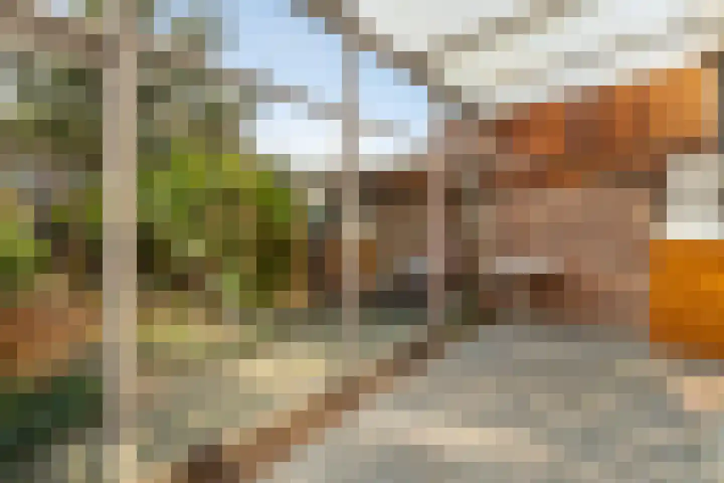 Madelieven 2 Wateringen thumbnail 15