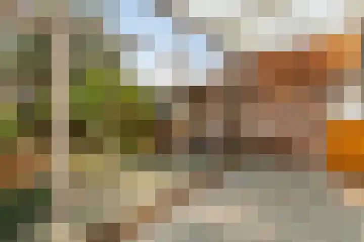 Madelieven 2 Wateringen thumbnail 15