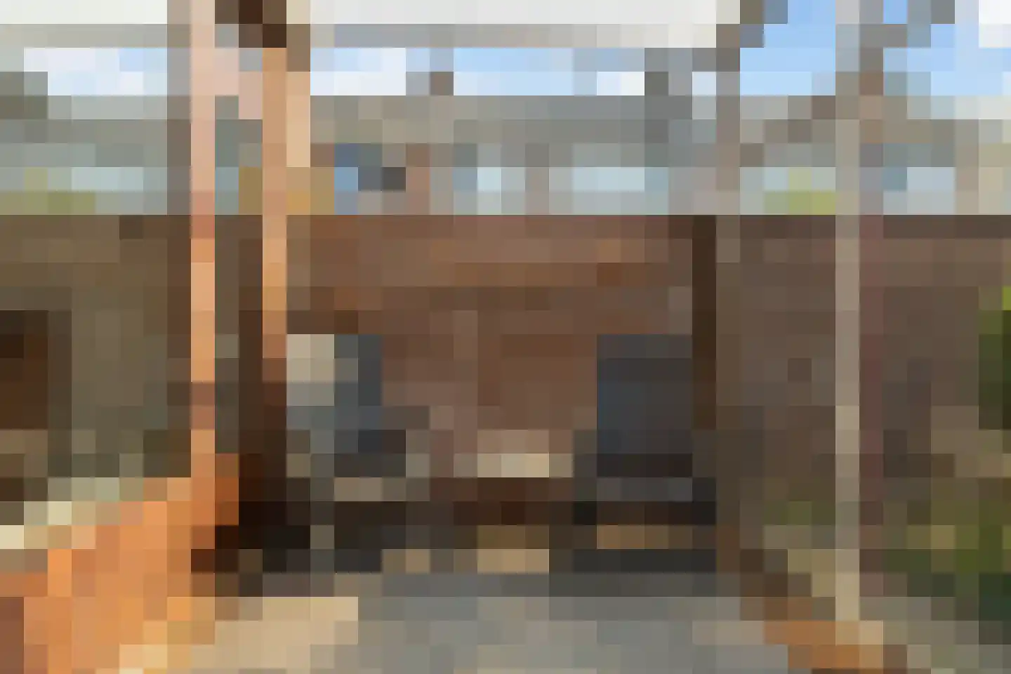 Madelieven 2 Wateringen thumbnail 16
