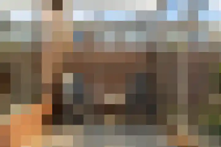 Madelieven 2 Wateringen thumbnail 16
