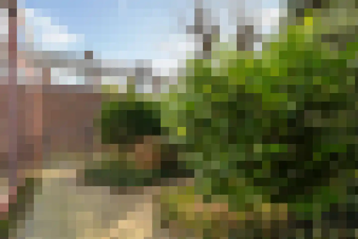 Madelieven 2 Wateringen thumbnail 17