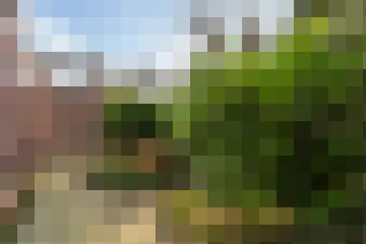 Madelieven 2 Wateringen thumbnail 17
