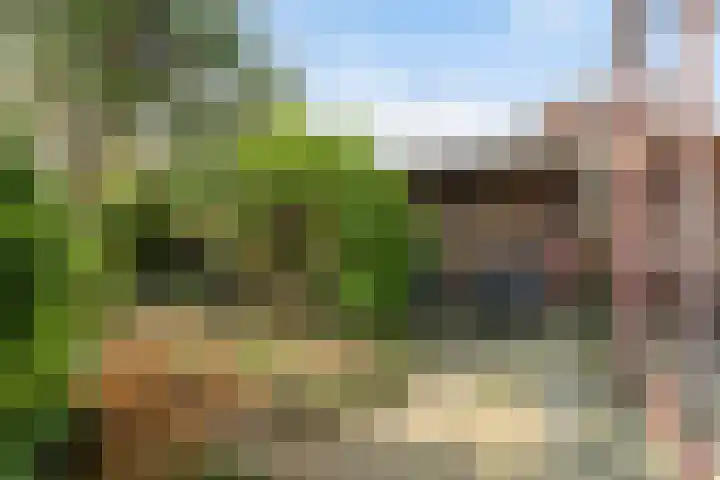 Madelieven 2 Wateringen thumbnail 18