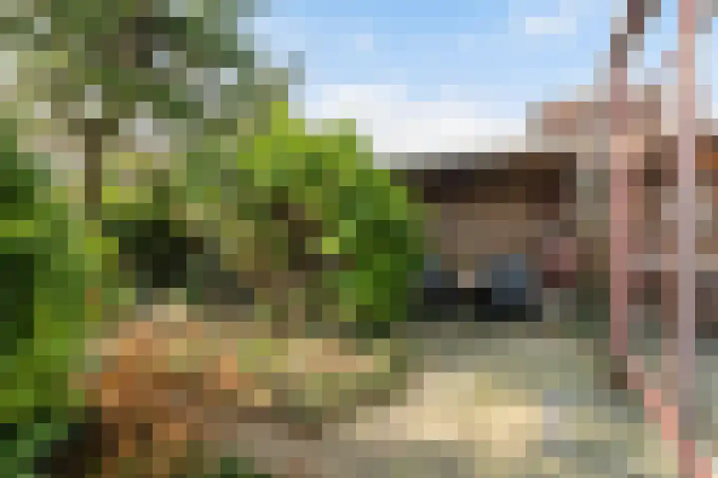 Madelieven 2 Wateringen thumbnail 18
