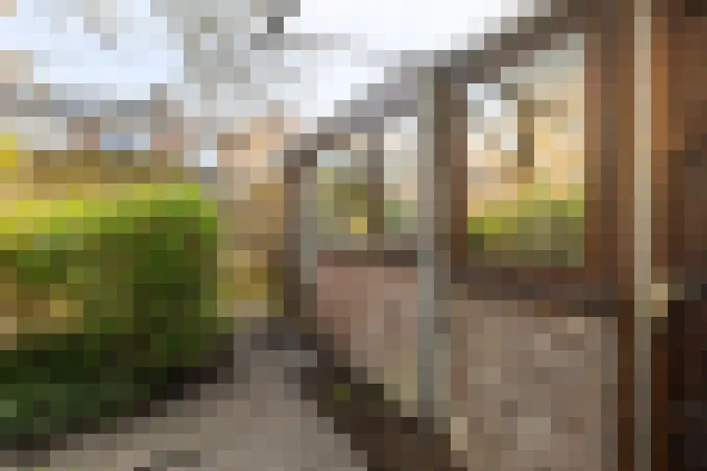 Madelieven 2 Wateringen thumbnail 20