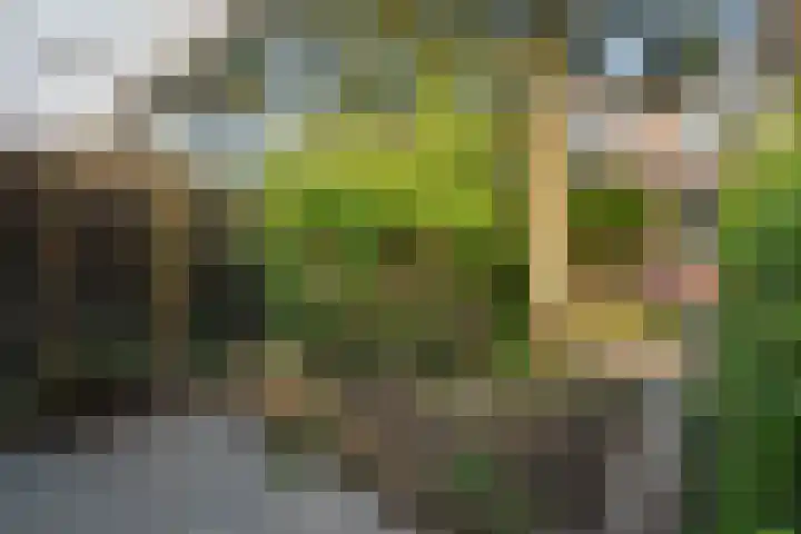 Madelieven 2 Wateringen thumbnail 21