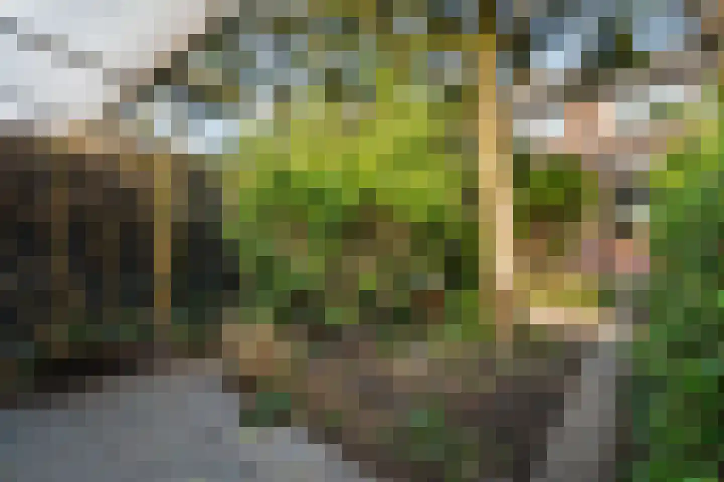 Madelieven 2 Wateringen thumbnail 21