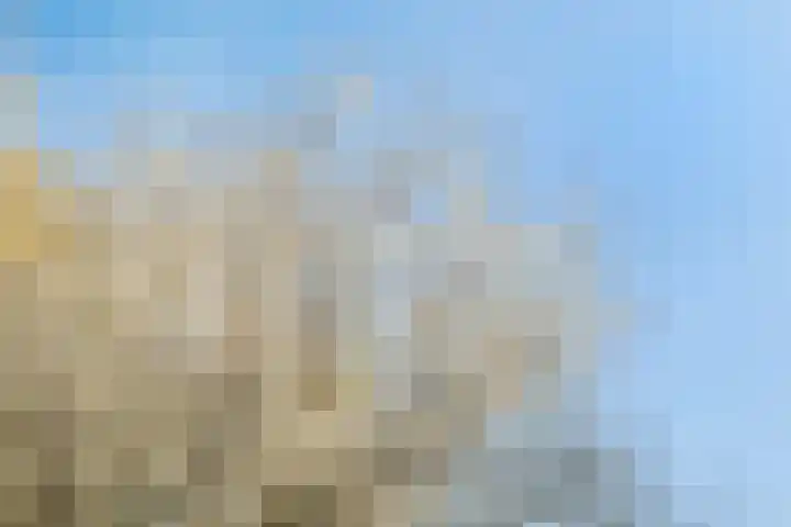Madelieven 2 Wateringen thumbnail 29