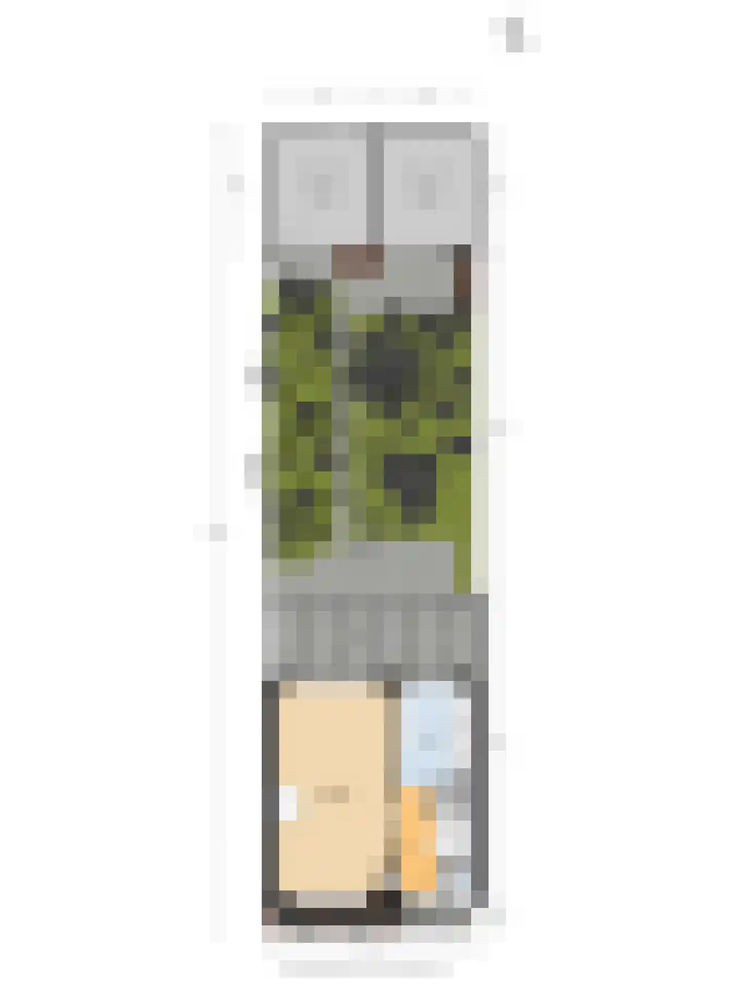 Madelieven 2 Wateringen thumbnail 38