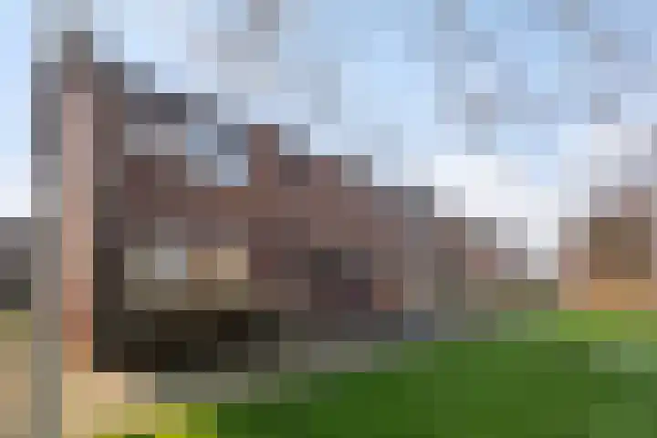 Madelieven 2 Wateringen thumbnail 5