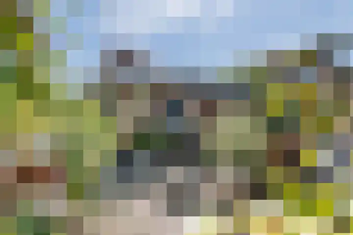 Madelievenkamp 11 Eck en Wiel thumbnail 11