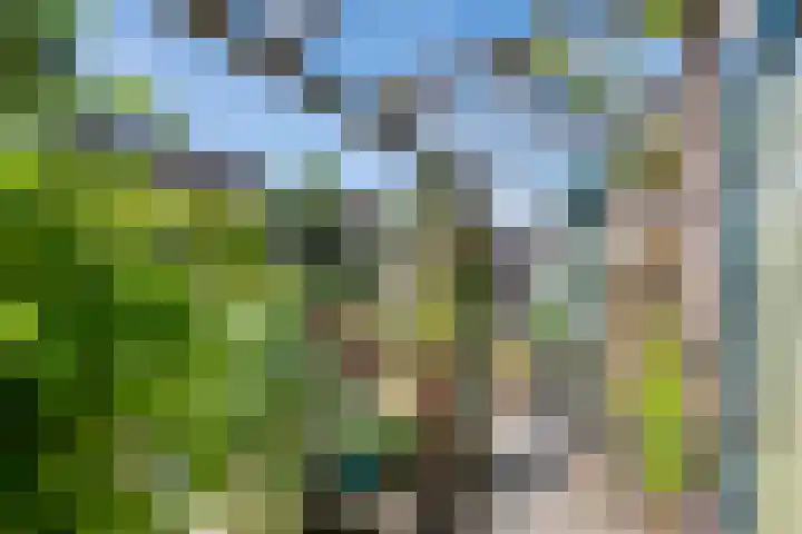 Madelievenkamp 11 Eck en Wiel thumbnail 12