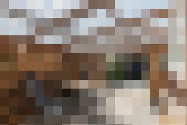 Madelievenkamp 11 Eck en Wiel thumbnail 13