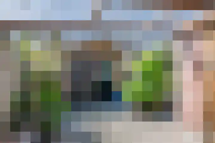 Madelievenkamp 11 Eck en Wiel thumbnail 14