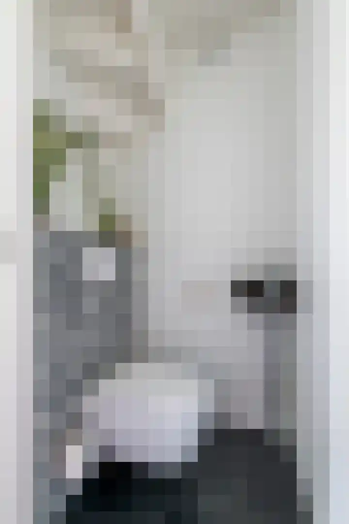Madelievenkamp 11 Eck en Wiel thumbnail 18