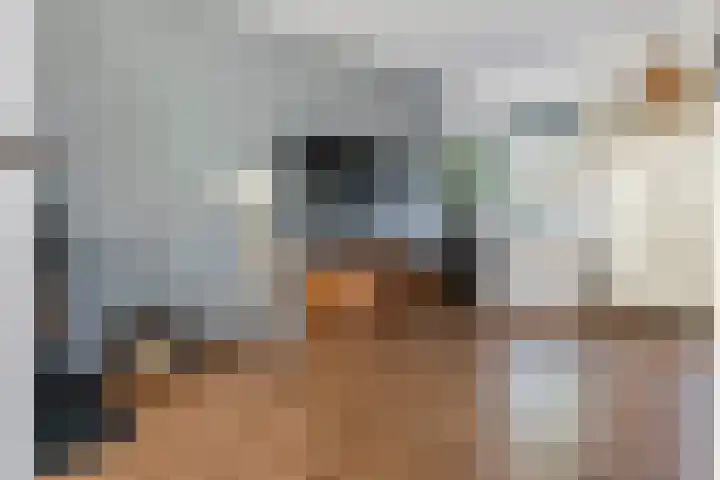 Madelievenkamp 11 Eck en Wiel thumbnail 19