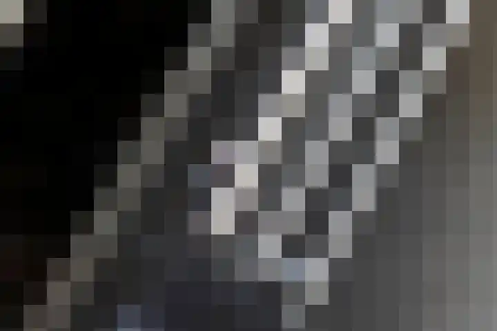 Madelievenkamp 11 Eck en Wiel thumbnail 29