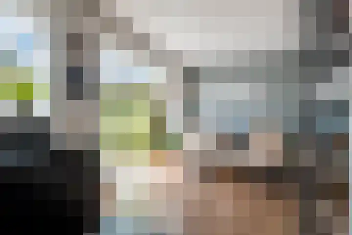 Madelievenkamp 11 Eck en Wiel thumbnail 32