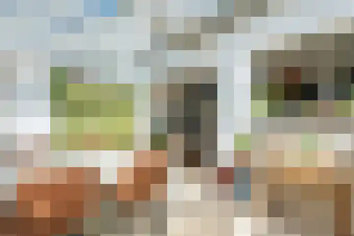 Madelievenkamp 11 Eck en Wiel thumbnail 34