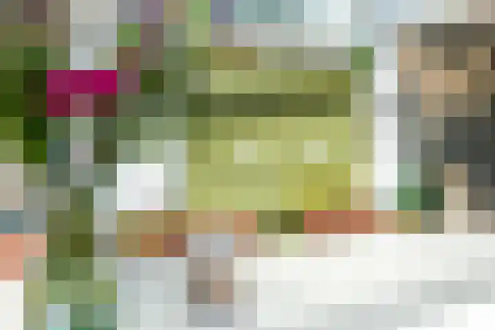 Madelievenkamp 11 Eck en Wiel thumbnail 35