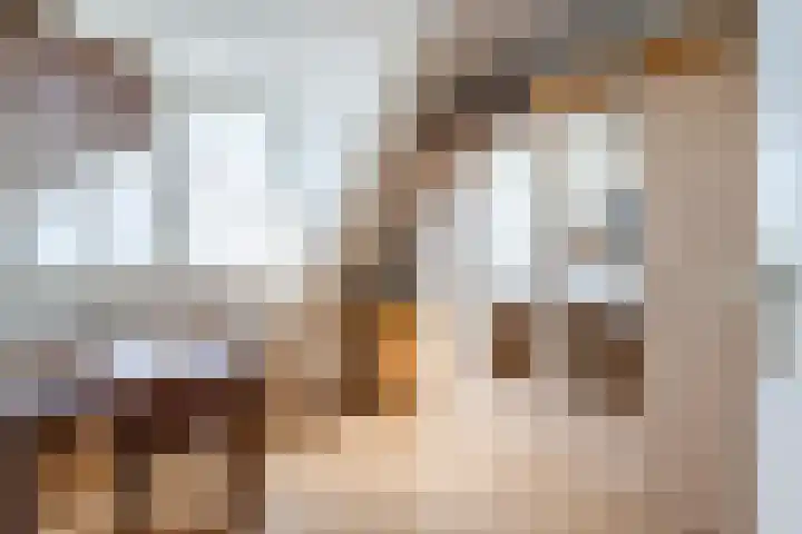 Madelievenkamp 11 Eck en Wiel thumbnail 42