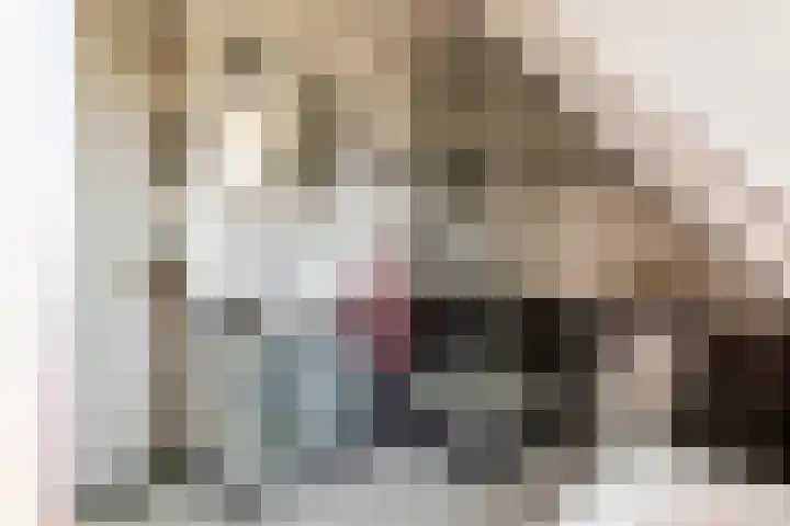 Madelievenkamp 11 Eck en Wiel thumbnail 46