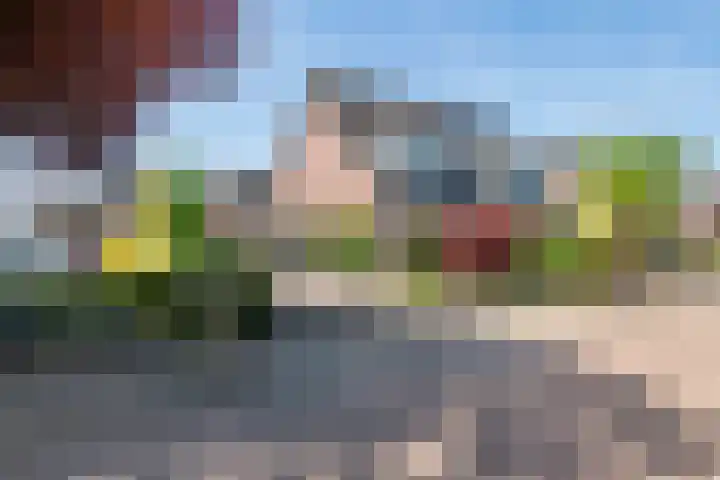 Madelievenkamp 11 Eck en Wiel thumbnail 53