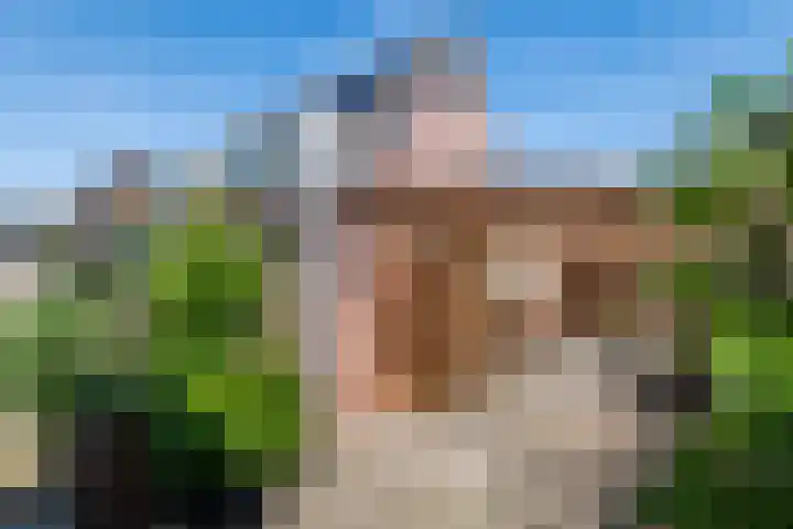 Madelievenkamp 11 Eck en Wiel thumbnail 6