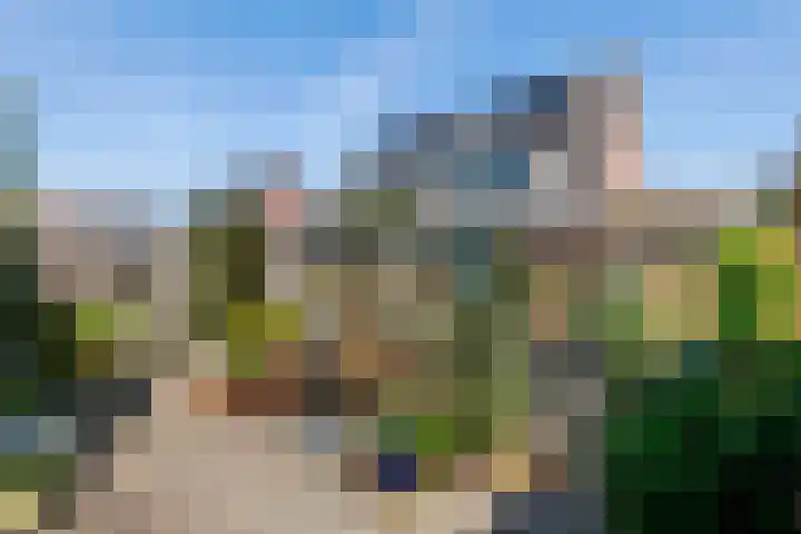 Madelievenkamp 11 Eck en Wiel thumbnail 7