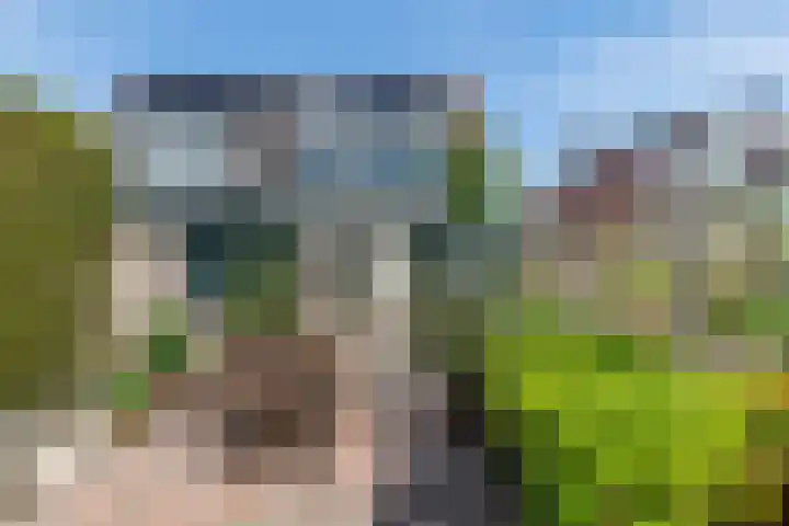 Madelievenkamp 11 Eck en Wiel thumbnail 8
