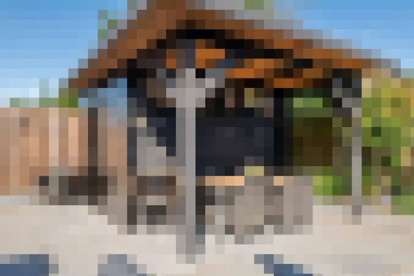 Madelievenkamp 12 Eck en Wiel thumbnail 30
