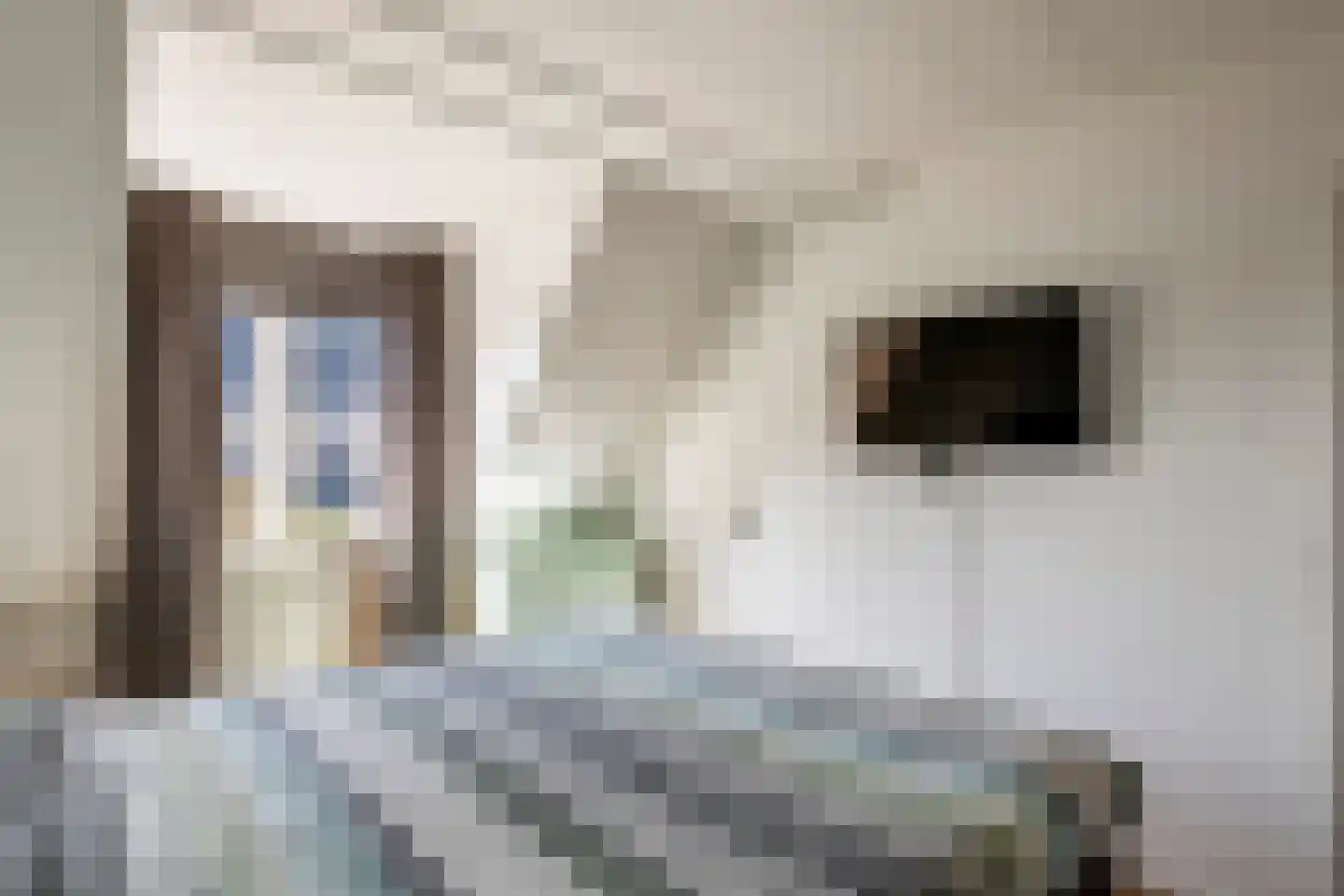Madelievenkamp 12 Eck en Wiel thumbnail 35