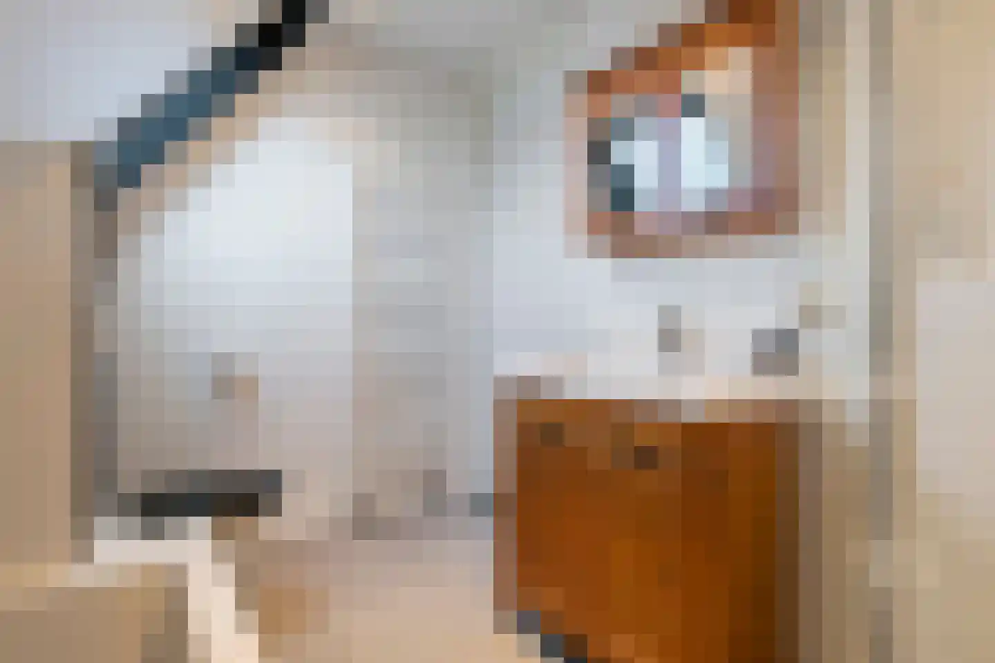 Madelievenkamp 12 Eck en Wiel thumbnail 43