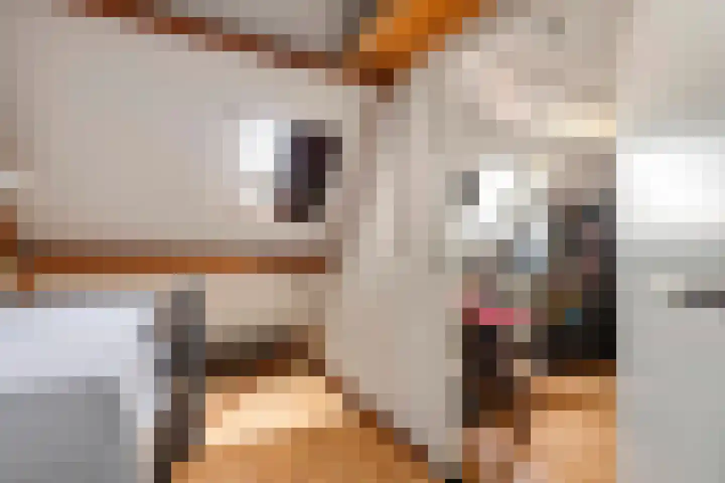 Madelievenkamp 12 Eck en Wiel thumbnail 46