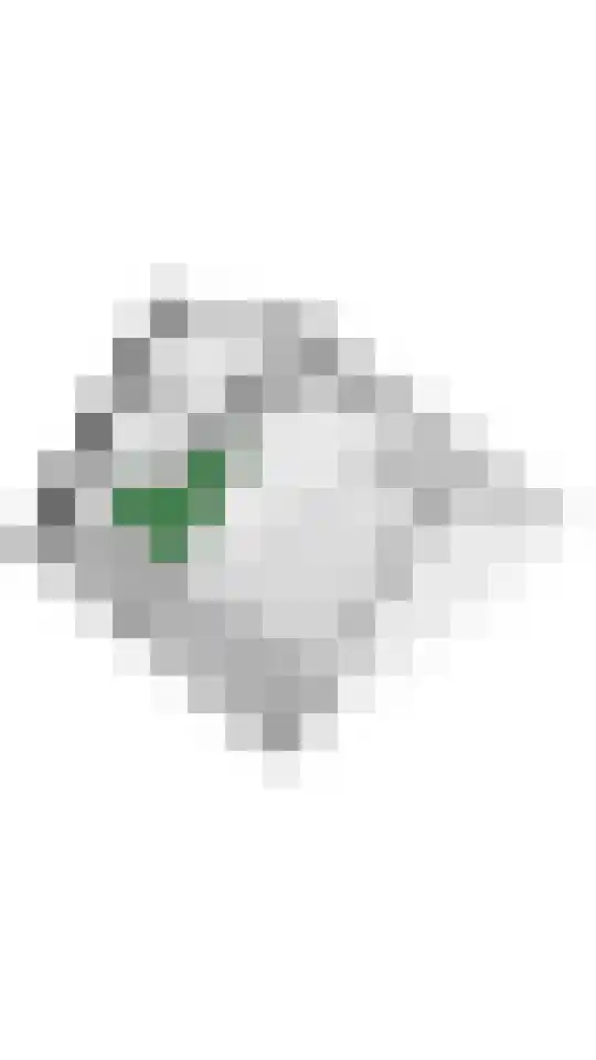 Madelievenkamp 12 Eck en Wiel thumbnail 57