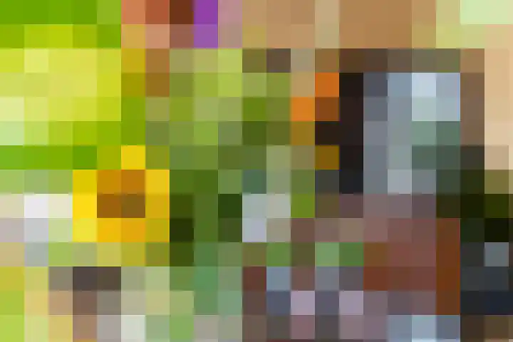 Madelievenkamp 8 Eck en Wiel thumbnail 11