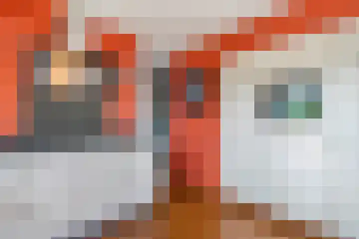 Madelievenkamp 8 Eck en Wiel thumbnail 16