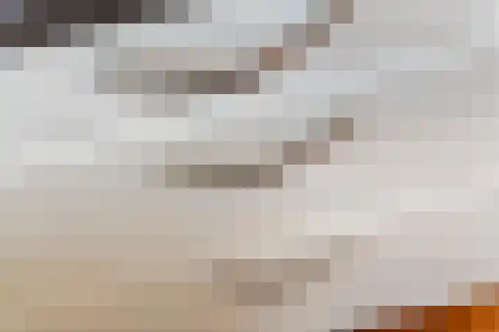 Madelievenkamp 8 Eck en Wiel thumbnail 18