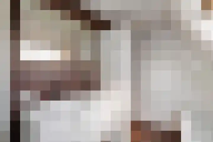 Madelievenkamp 8 Eck en Wiel thumbnail 29