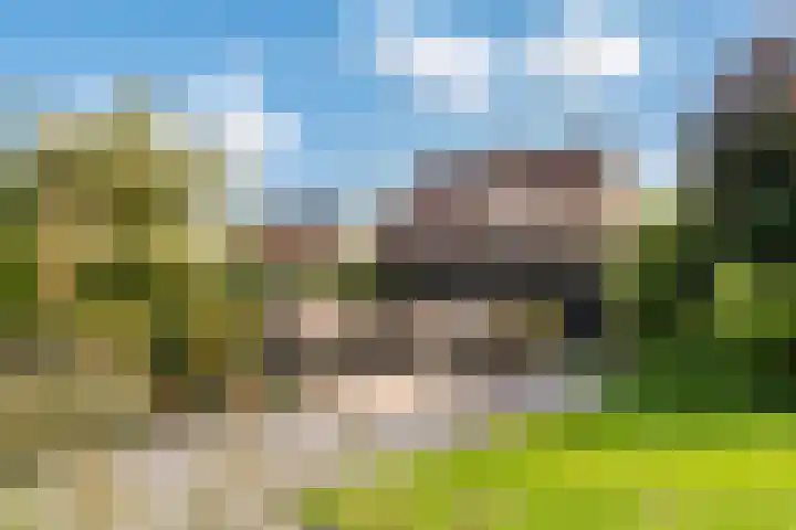 Madelievenkamp 8 Eck en Wiel thumbnail 38