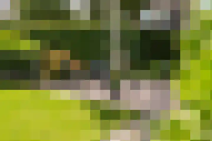 Madelievenkamp 8 Eck en Wiel thumbnail 41