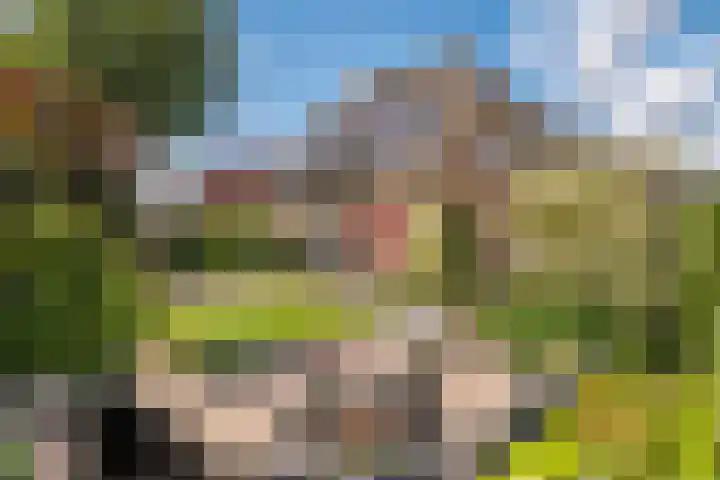 Madelievenkamp 8 Eck en Wiel thumbnail 42