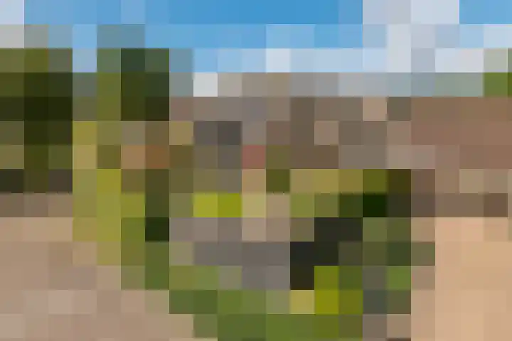 Madelievenkamp 8 Eck en Wiel thumbnail 43