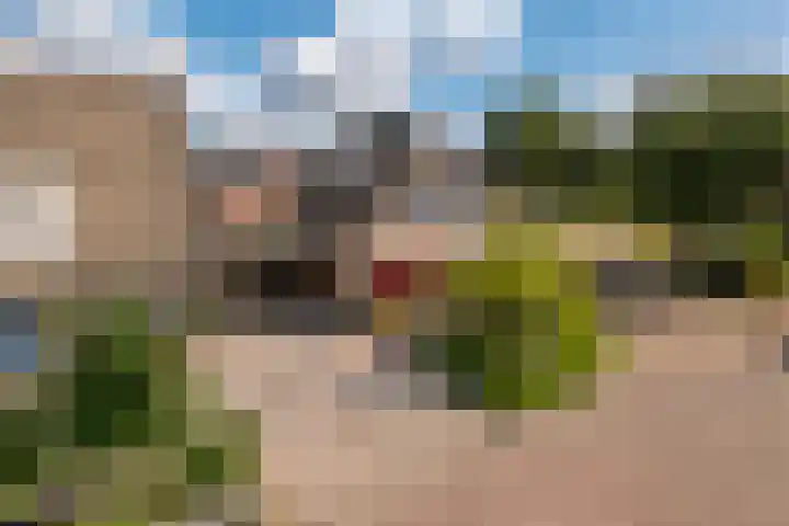 Madelievenkamp 8 Eck en Wiel thumbnail 45