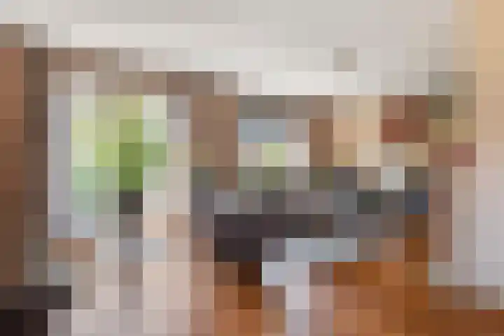 Madelievenkamp 8 Eck en Wiel thumbnail 5